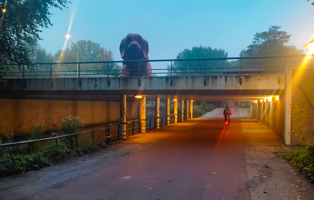 Blick in den Rembrandpark in Amsterdam 2022 beim Morgenlauf